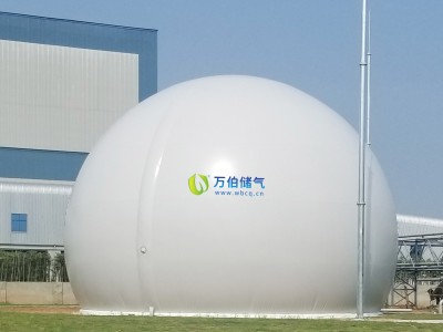 大白球双膜储气柜WD68S图2