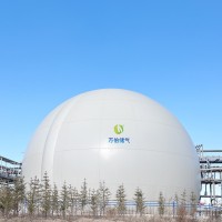 大白球双膜气柜WD68