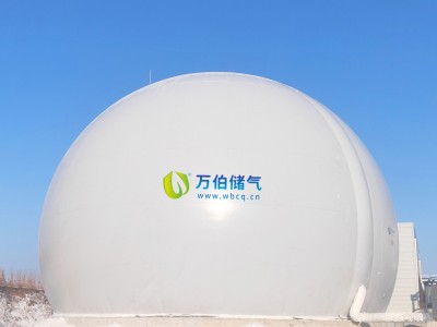 大白球双膜气柜WD68图3