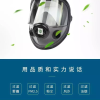 霍尼韦尔54001   5000系列全面罩