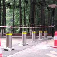 武汉全自动路桩厂家 学校阻车升降路桩 路桩图片